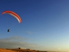 Fliegen über Wüstensand